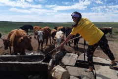 watering-the-animlas-in-Gobi